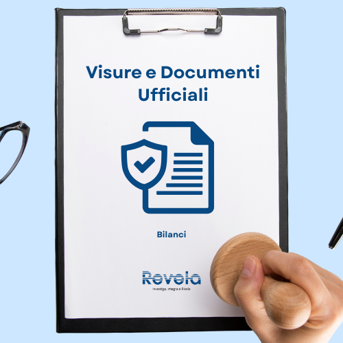 Visure e Documenti Ufficiali - Bilanci