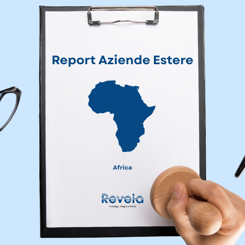 Report Aziende Estere - Africa