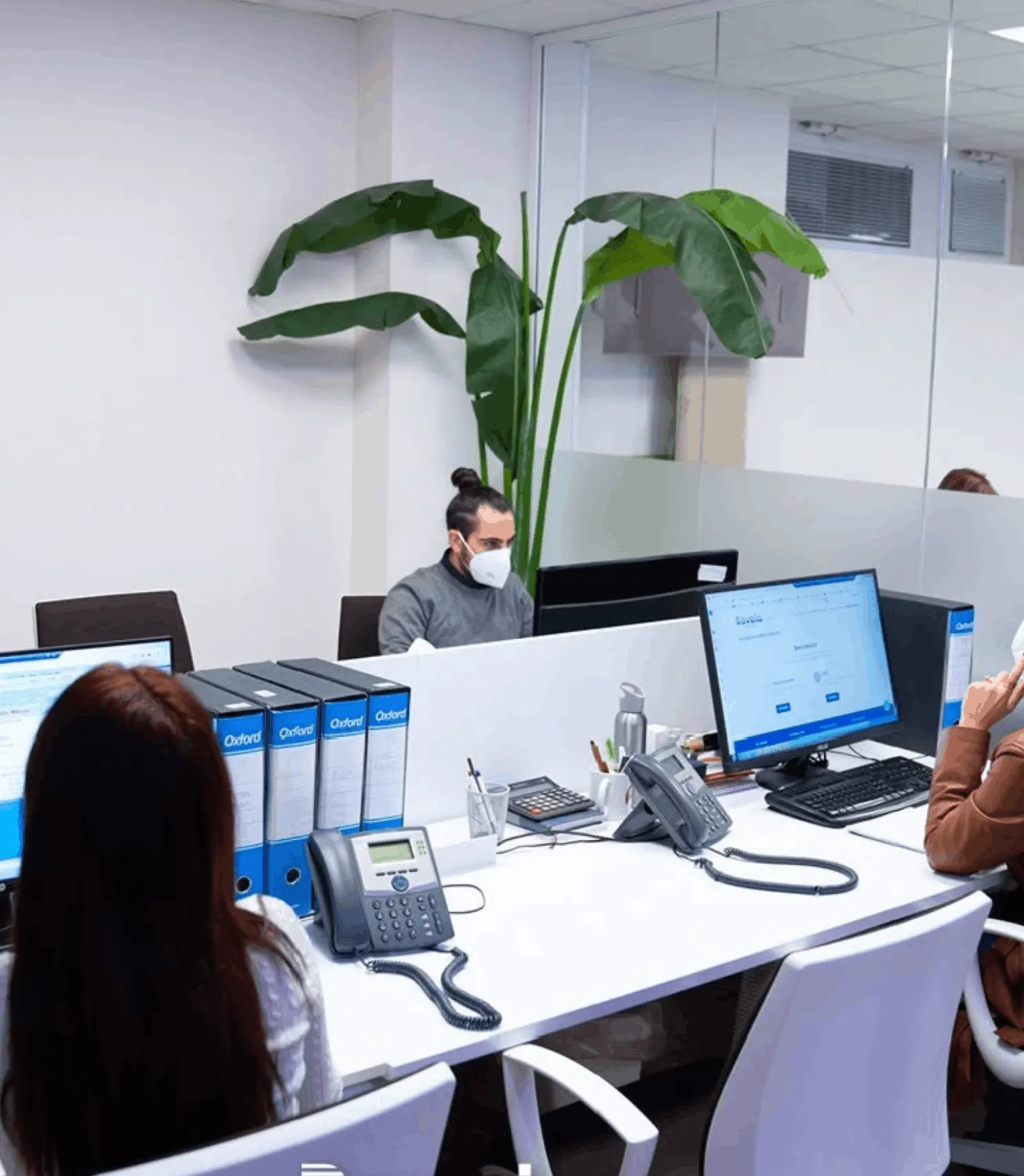 Vista degli uffici di Revela a Napoli, sede dedicata all’analisi patrimoniale e al supporto investigativo sul territorio.